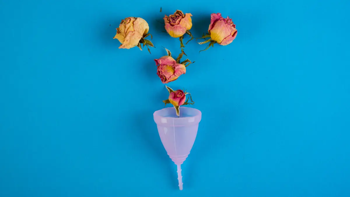 Fluxo Menstrual