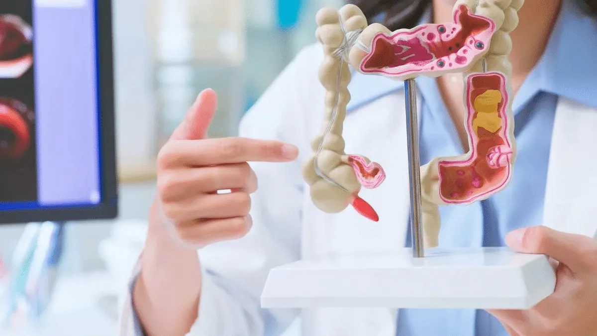 Intestino saudável em 30 dias: hábitos que recuperam a flora