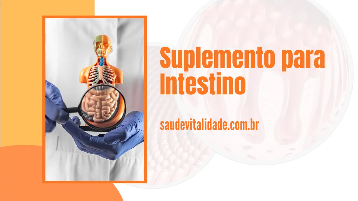 Suplemento para Intestino Melhores Opções para Saúde Digestiva