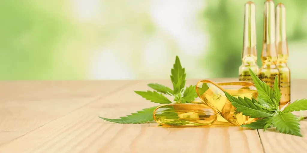Canabidiol para toda a família: onde encontrar o melhor preço Canabidiol para toda a família