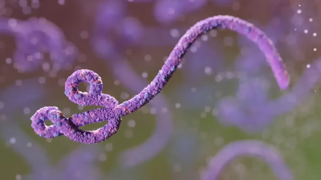 Ebola no Congo é 2º maior surto da história, dizem autoridades Ebola no Congo é 2º maior surto da história, dizem autoridades